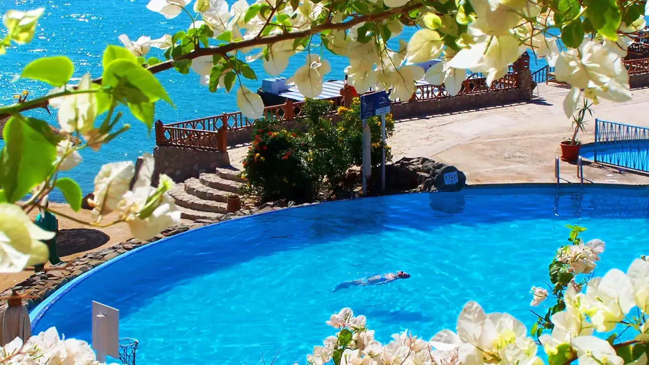 الفندق سلطان بيه ريزورت - الجونة